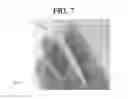 Fig. 08 - Liquid crystal lens film structure, method of fabricating the same and image display device with the same