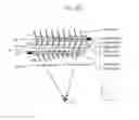 Fig. 25 - IMAGING APPARATUS AND METHODS