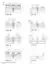 Fig. 02 - Photoresist pattern trimming compositions and methods