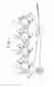 Fig. 02 - Image forming apparatus
