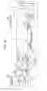 Fig. 27 - Image-forming apparatus