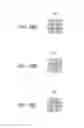 Fig. 33 - Image-forming apparatus