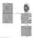 Fig. 01 - Coherent diffractive imaging with arbitrary angle of incidence