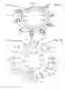 Fig. 02 - Calendar display device for a timepiece