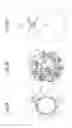 Fig. 10 - Calendar display device for a timepiece