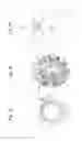 Fig. 13 - Calendar display device for a timepiece