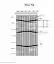Fig. 15 - Display device with touch detection function and electronic apparatus