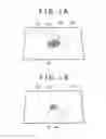 Fig. 02 - Information processing apparatus, information processing method and program