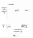 Fig. 08 - COMMUNICATION DEVICE AND METHOD FOR PROCESSING MESSAGE OF THE COMMUNICATION DEVICE