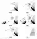 Fig. 03 - Selection of a graphical element with a cursor in a magnification window