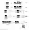 Fig. 01 - Compartmentalized image editing system