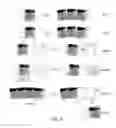 Fig. 07 - Compartmentalized image editing system