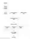 Fig. 01 - Execution optimization of mobile applications