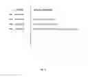 Fig. 16 - Systems, apparatuses, and methods for data speculation execution