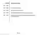 Fig. 27 - Systems, apparatuses, and methods for data speculation execution