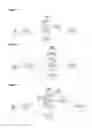 Fig. 03 - Push/Pull Parallelization for Elasticity and Load Balance in Distributed Stream Processing Engines
