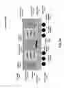 Fig. 15 - Memory system topologies including a buffer device and an integrated circuit memory device