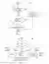 Fig. 04 - VIRTUAL LEGACY WIRE