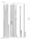 Fig. 05 - Suggesting patterns in unstructured documents
