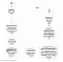 Fig. 01 - Scan optimization using bloom filter synopsis