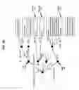 Fig. 20 - Performing keyword-based search and retrieval on data that has been losslessly reduced using a prime data sieve