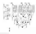 Fig. 23 - Performing keyword-based search and retrieval on data that has been losslessly reduced using a prime data sieve