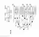 Fig. 23 - Performing multidimensional search and content-associative retrieval on data that has been losslessly reduced using a prime data sieve