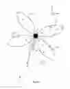 Fig. 11 - Sensor Deployment For Multi-modal Sensors
