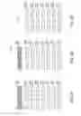 Fig. 05 - Apparatuses and methods for measuring an electrical characteristic of a model signal line and providing measurement information