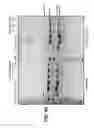Fig. 05 - Rotavirus particles with chimeric surface proteins