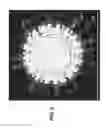 Fig. 08 - Rotavirus particles with chimeric surface proteins