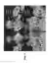 Fig. 09 - Rotavirus particles with chimeric surface proteins