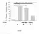 Fig. 24 - Transcriptome-wide design of selective, bioactive small molecules targeting RNA