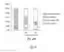 Fig. 28 - Transcriptome-wide design of selective, bioactive small molecules targeting RNA