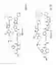 Fig. 52 - Transcriptome-wide design of selective, bioactive small molecules targeting RNA