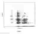 Fig. 06 - Method For Determining Genotypes in Regions of High Homology