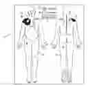 Fig. 01 - Computerized Pain Assessment Tool