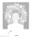 Fig. 03 - CONTROLLING ESSENTIAL LIFE DATA