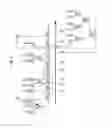 Fig. 03 - Method for creating signals for time-stamping of documents and method for time-stamping of documents