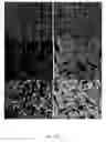 Fig. 53 - Systems and methods for segmentation and processing of tissue images and feature extraction from same for treating, diagnosing, or predicting medical conditions