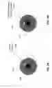 Fig. 06 - Detecting facial liveliness
