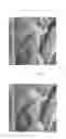 Fig. 13 - Method of face detection, method of image processing, face detection device and electronic system including the same