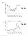 Fig. 06 - Traffic prediction using real-world transportation data