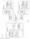 Fig. 02 - AUTHENTICATION SCHEMES FOR ACTIVITIES OF ACCOUNTS