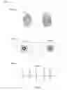 Fig. 09 - AUTHENTICATION SCHEMES FOR ACTIVITIES OF ACCOUNTS