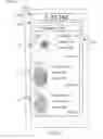 Fig. 12 - AUTHENTICATION SCHEMES FOR ACTIVITIES OF ACCOUNTS