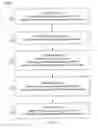 Fig. 13 - AUTHENTICATION SCHEMES FOR ACTIVITIES OF ACCOUNTS