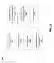 Fig. 20 - Systems and methods for presenting vehicular transaction information in a data communication network