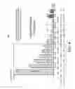 Fig. 05 - Systems and methods for inferring the performance of rejected credit applicants