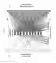 Fig. 26 - System And Method For Facilitating Unified Trading And Control For A Sponsoring Organization's Money Management Process